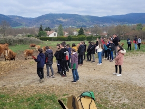 Bas-en-Basset : les écoliers dde Louise-Michel visitent la ferme des Doux Sons