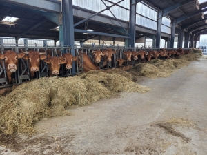 Bas-en-Basset : les écoliers dde Louise-Michel visitent la ferme des Doux Sons