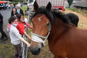 Retournac : la Foire des Pâquerettes vous attend ce dimanche