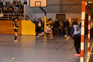 Handball, N3 : l&#039;entente Sucs et Velay craque en fin de match