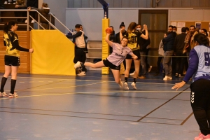 Handball, N3 : l&#039;entente Sucs et Velay craque en fin de match