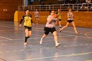 Handball, N3 : l&#039;entente Sucs et Velay craque en fin de match