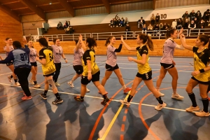 Handball, N3 : l&#039;entente Sucs et Velay craque en fin de match