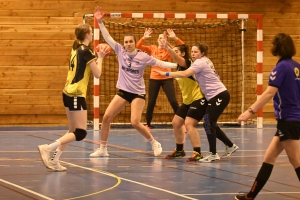 Handball, N3 : l&#039;entente Sucs et Velay craque en fin de match