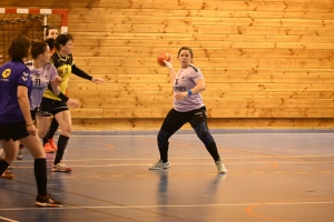 Handball, N3 : l&#039;entente Sucs et Velay craque en fin de match