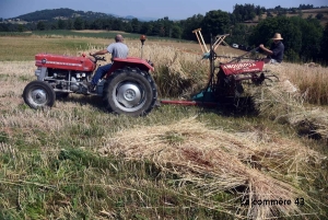 Yssingeaux : la Fête de la batteuse va faire revivre les moissons d&#039;antan dimanche