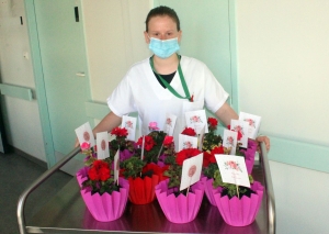 Hôpital d&#039;Yssingeaux : une plante fleurie pour les mamans