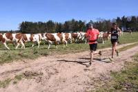 Le Trail des Hauts-Clochers déménage à Grazac et change de date