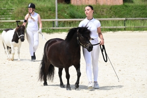 Equitation : 95 poneys Shetland ont concouru à Yssingeaux