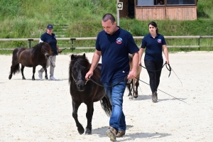 Equitation : 95 poneys Shetland ont concouru à Yssingeaux