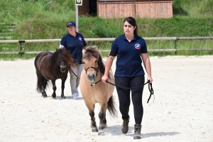 Equitation : 95 poneys Shetland ont concouru à Yssingeaux