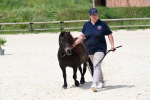 Equitation : 95 poneys Shetland ont concouru à Yssingeaux