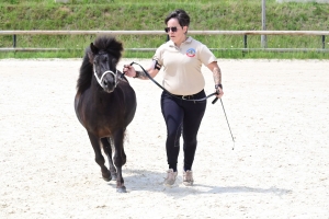 Equitation : 95 poneys Shetland ont concouru à Yssingeaux