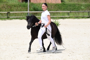 Equitation : 95 poneys Shetland ont concouru à Yssingeaux