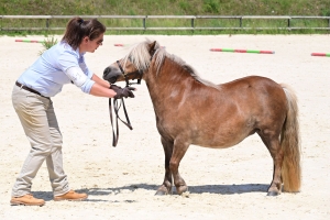 Equitation : 95 poneys Shetland ont concouru à Yssingeaux