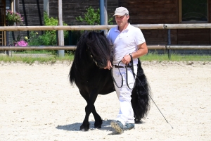 Equitation : 95 poneys Shetland ont concouru à Yssingeaux