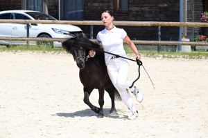 Equitation : 95 poneys Shetland ont concouru à Yssingeaux