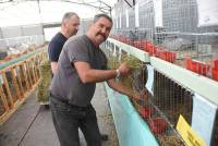 Saint-Julien-du-Pinet : Stéphane Boyer remporte le concours d&#039;aviculture