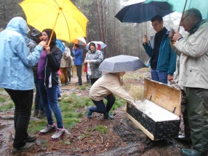 Saint-Pal-de-Chalencon : Les Amis de Saint-Pal ont fait découvrir le sentier du Chier Marty