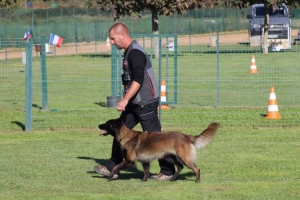 Yssingeaux : David Thibaut vice-champion de France de sauvetage avec sa chienne