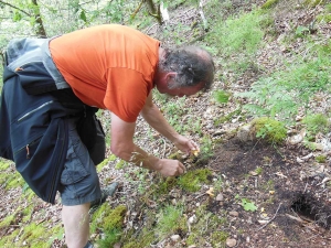 Valprivas : le champignon dans tous ses états