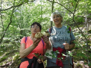 Valprivas : le champignon dans tous ses états