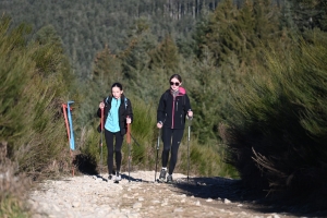 Trail des Lucioles : une édition record à Riotord