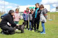 Sandrine Machabert est éducatrice au club canin des sucs.