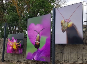 Yssingeaux : un après-midi d&#039;animations samedi pour inaugurer le parc Valentin