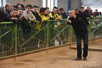 Yssingeaux : le concours de pétanque en triplettes attire la foule