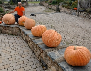 Yssingeaux : les courges géantes de Pierre Autin à &quot;Marnhac&quot;